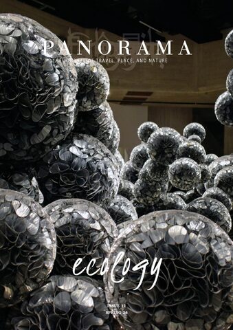 [thumbnail of cover of issue 11]